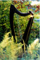 La harpe, symbole national de l'Irlande